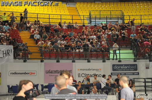 2015-06-13 Milano in the Cage 2015 - Mixed Martial Arts 0060 Miscellaneous